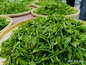  39 陕西省 地理标志保护工程（紫阳富硒茶） 