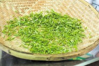 长沙绿茶